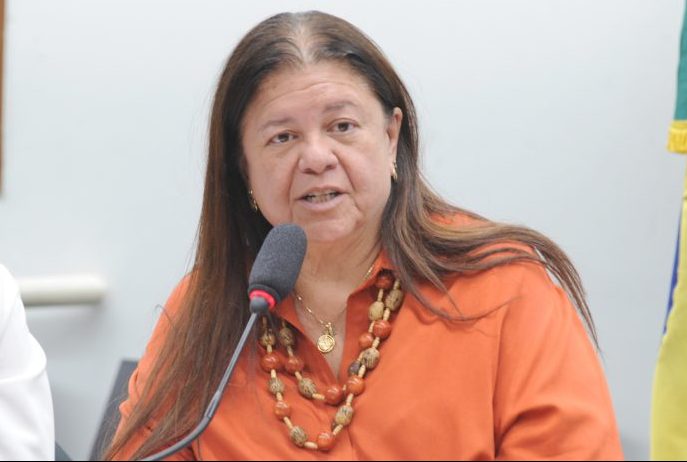 Deputada Laura Carneiro fala ao microfone