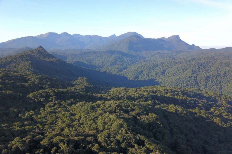 Mata Atlântica na Serra do Mar, no Paraná