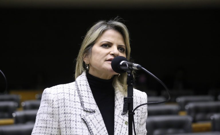 Deputado Flávia Morais (PDT-GO) fala no Plenário da Câmara dos Deputados