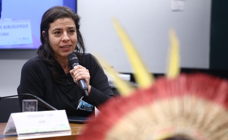 Audiência Pública Interativa - Impactos do marco temporal para os povos indígenas. Diretora Do Departamento De Proteção Territorial Da Funai, Maria Janete Albuquerque De Carvalho
