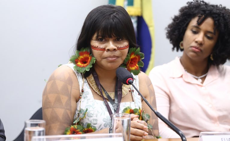Audiência Pública Interativa - Impactos do marco temporal para os povos indígenas. Representante Da Articulação Nacional Das Mulheres Indígenas Guerreiras Da Ancestralidade - Anmiga, Eliane Xunakalo