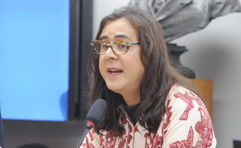 Audiência Pública – Preparativos para a realização da 30ª Conferência sobre as Mudanças Climáticas. Dep. Duda Salabert (PDT - MG)