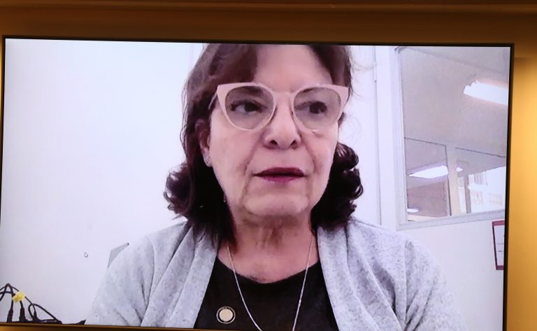 Audiência Pública - Financiamento da educação e questões demográficas. Diretora de Articulação com os Sistemas de Ensino do Ministério da Educação - MEC, Maria Selma de Morais Rocha.