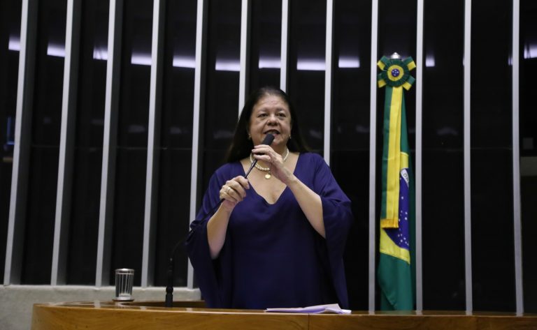 Deputada Laura Carneiro fala ao microfone