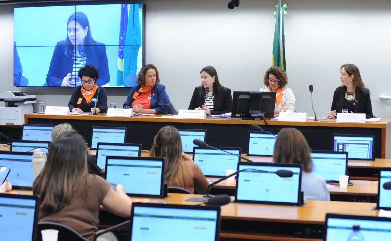 Audiência Pública - A inserção das doulas na Rede Alyne do Ministério da Saúde.