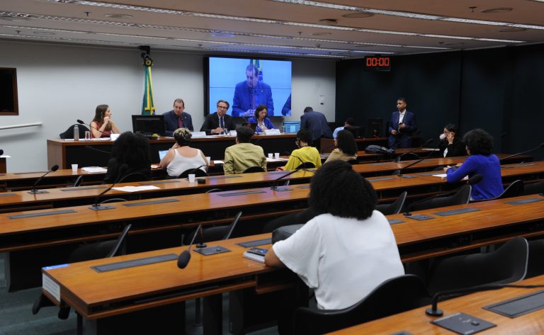 Audiência Pública Interativa - Racismo Ambiental e Justiça Climática.