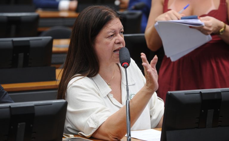 Discussão e votação de propostas legislativas. Dep. Laura Carneiro (PSD - RJ)