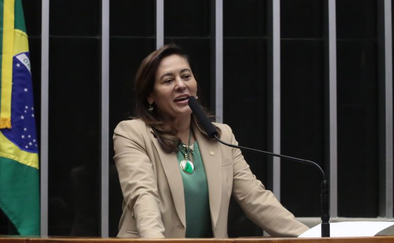 Discussão e Votação de Propostas Legislativas. Dep. Dilvanda Faro (PT-PA)