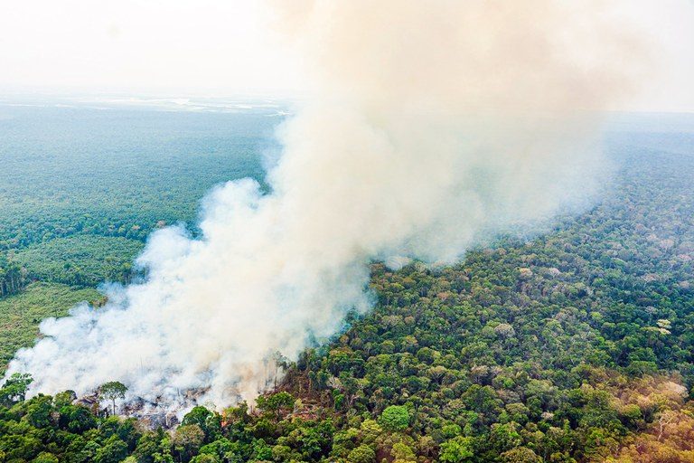Foto aérea de uma floresta pegando fogo