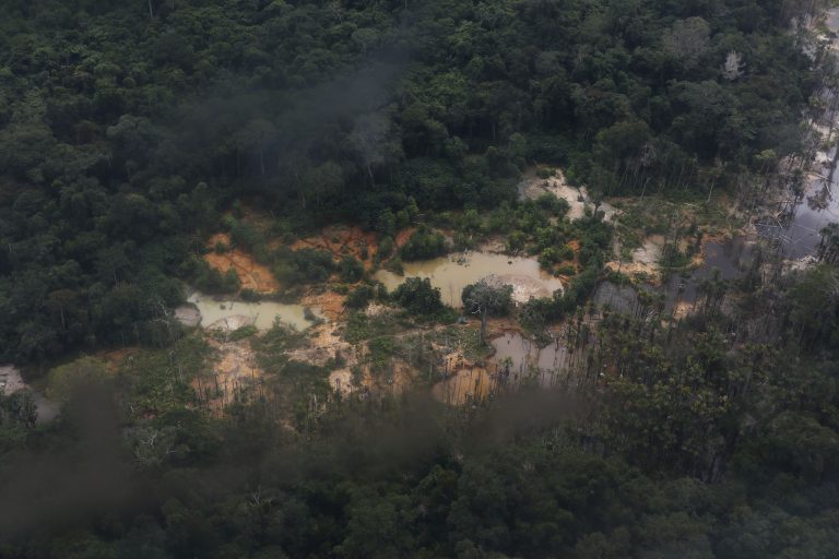 Vista aérea de um garimpo no meio da floresta