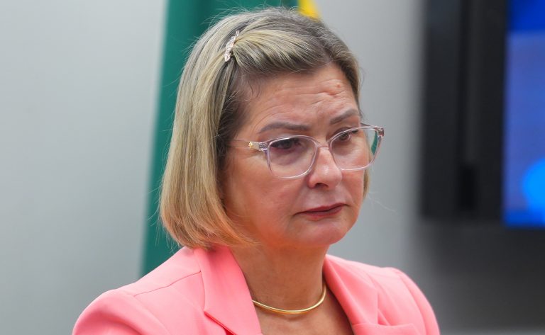 Audiência Pública - Título de Capital Nacional das Águas Quentes a Caldas Novas/GO. Dep. Ana Paula Leão (PP - MG)