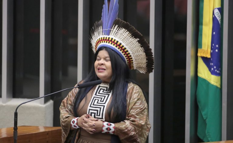 Homenagem ao Dia da Amazônia. Ministra de Estado dos Povos Indígenas, Sônia Guajajara