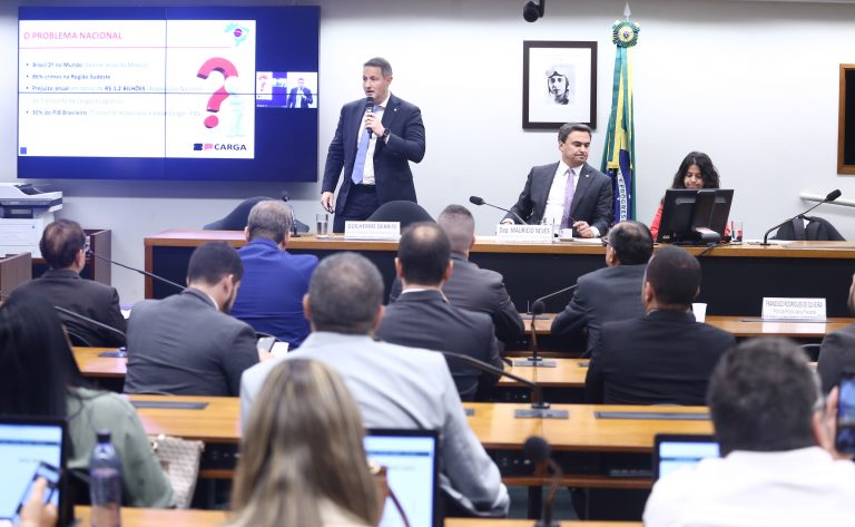 Audiência Pública - Proteção do consumidor contra a receptação de cargas roubadas. Secretário de Segurança Pública do Estado de São Paulo, Guilherme Derrite. Dep. Mauricio Neves (PP-SP)