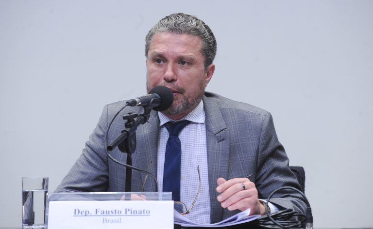 Deputado Fausto Pinato discursa