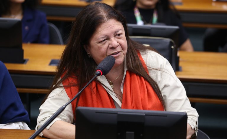 Audiência Pública - Prevenção no ambiente online. Dep. Laura Carneiro (PSD - RJ)