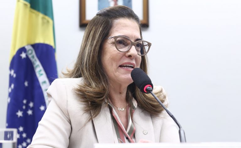 Audiência Pública - Prevenção no ambiente online. Dep. Rogéria Santos (REPUBLICANOS - BA)