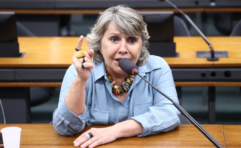 Audiência Pública - Exploração sexual infantojuvenil e o tráfico de pessoa no Brasil. Dep. Erika Kokay(PT - DF)