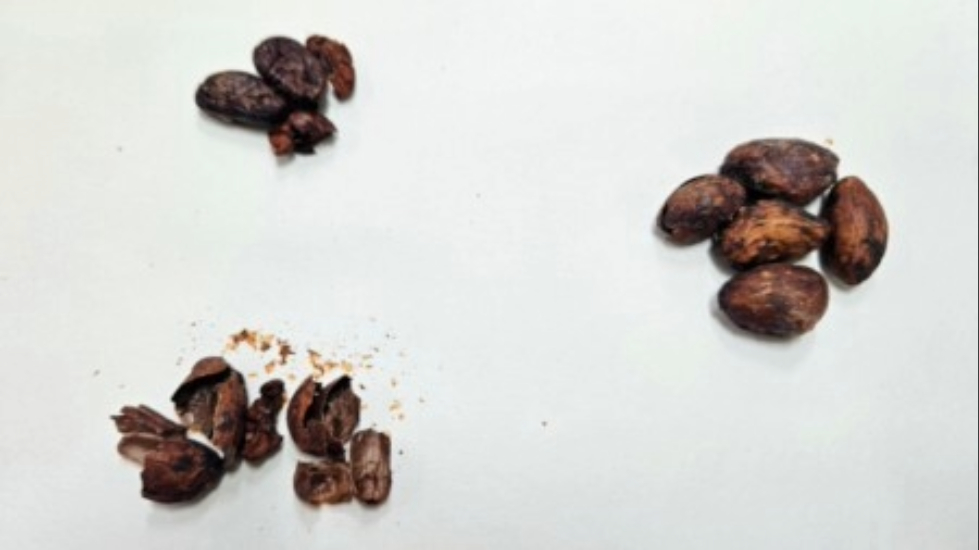 Mel ‘sabor chocolate’