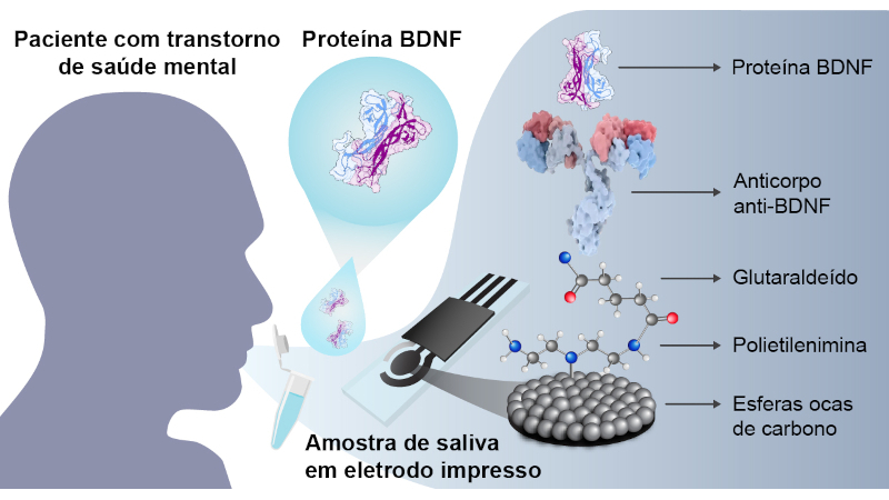 Proteína ligada à depressão e esquizofrenia
