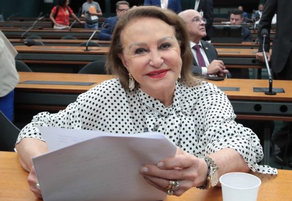 Instalação da comissão e eleição de presidente e vice-presidentes. Dep. Elcione Barbalho (MDB - PA)