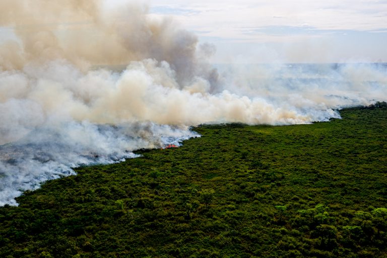 Meio Ambiente - queimada e desmatamento - destruição ambiental biomas vegetação desastres ecológicos aquecimento global temperaturas (queimadas e incêndios florestais no Pantanal, agosto de 2020)