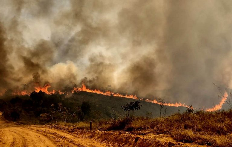 Cidades - Catástrofes - incêndio - Parque Estadual do Juquery, em Franco da Rocha São Paulo, com destruição de 70 % depois de incêndio provocado por balão - fogo