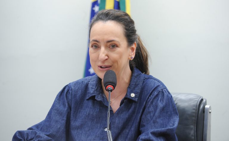 Deputada Rosangela Moro fala ao microfone