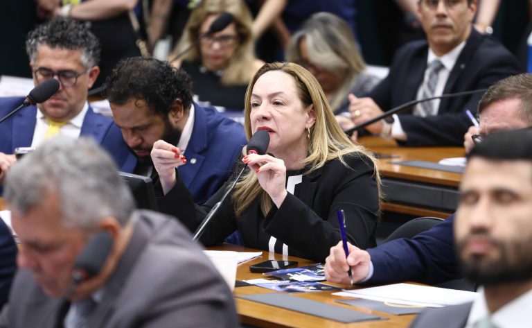 Audiência Pública – Deliberação de requerimentos. Dep. Delegada Adriana Accorsi (PT-GO)