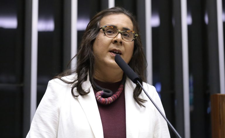 Discussão e votação de propostas legislativas. Dep. Duda Salabert (PDT - MG)