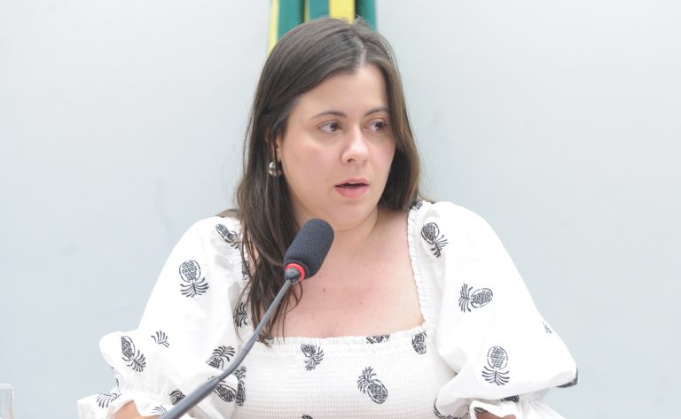 Audiência Pública - Papel das normas infralegais na proteção de crianças e adolescentes. Dep. Sâmia Bomfim (PSOL - SP)