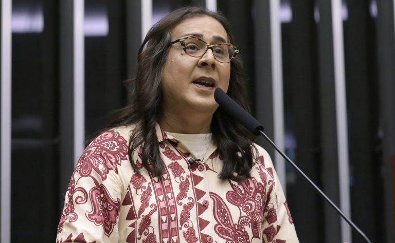 Discussão e votação de propostas legislativas. Dep. Duda Salabert (PDT-MG)