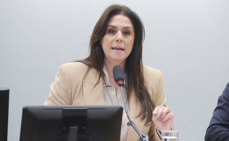 Audiência Pública - O potencial do turismo religioso na valorização cultural e no desenvolvimento local. Dep. Simone Marquetto (MDB - SP)