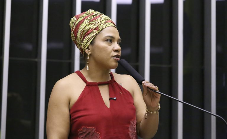 Discussão e votação de propostas legislativas. Dep. Dandara (PT - MG)