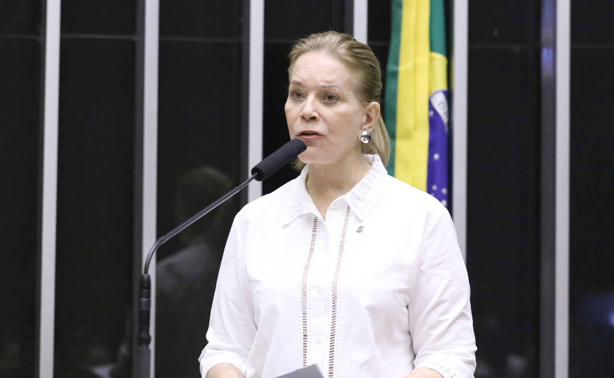 Deputada Lêda Borges fala ao microfone