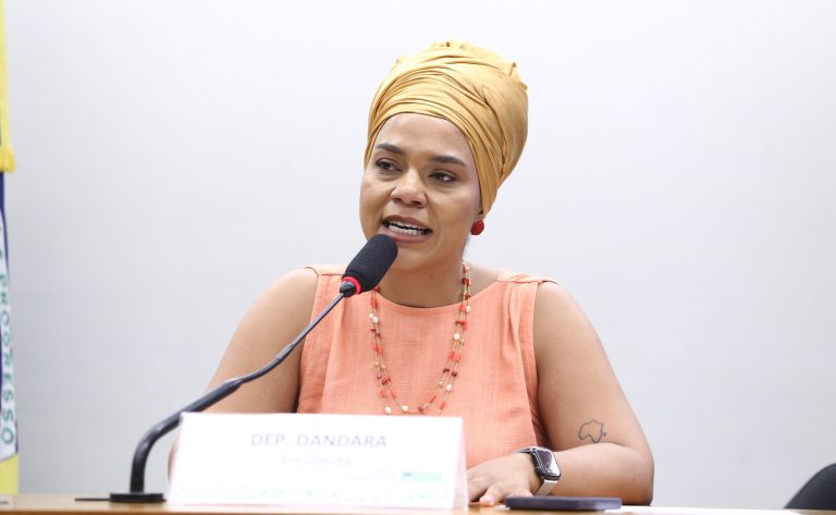 Audiência Pública - Perspectiva das Juventudes sobre a COP 30. Dep. Dandara (PT-MG)