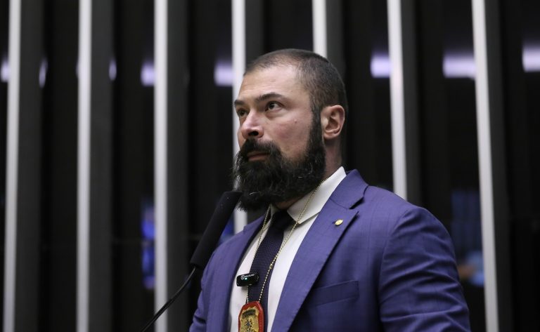 Discussão e votação de propostas legislativas. Dep. Delegado Paulo Bilynskyj (PL-SP)