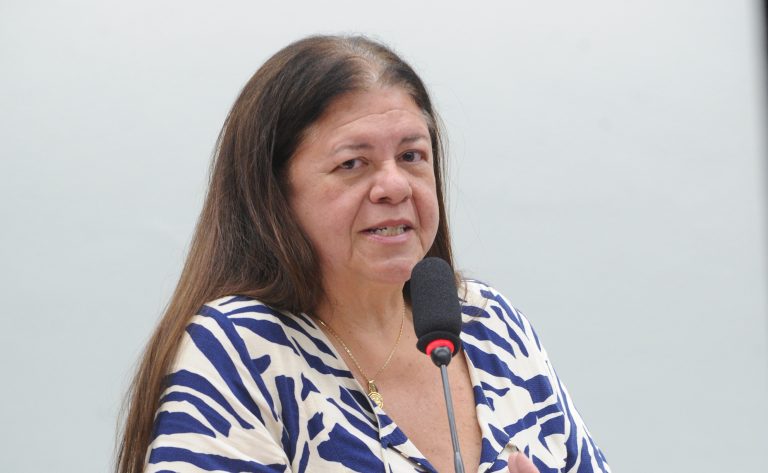 Audiência Pública - Dia Nacional da Música Instrumental Hermeto Pascoal. Dep. Laura Carneiro (PSD - RJ)