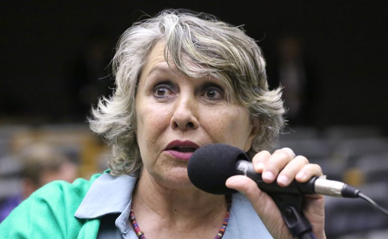 Discussão e votação de propostas legislativas. Dep. Erika Kokay (PT - DF)