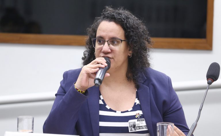 Audiência Pública - As contribuições de crianças e adolescentes para a COP30. Coordenadora-Geral de Enfrentamento ao Trabalho Infantil - Ministério de Direitos Humanos e da Cidadania, Verena Fadul dos Santos Arruda.