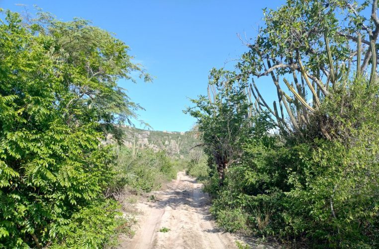 Vale do Catimbau, em Pernambuco, 