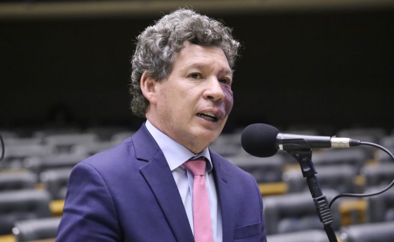 Discussão e votação de propostas legislativas. Dep. Reginaldo Lopes (PT - MG)