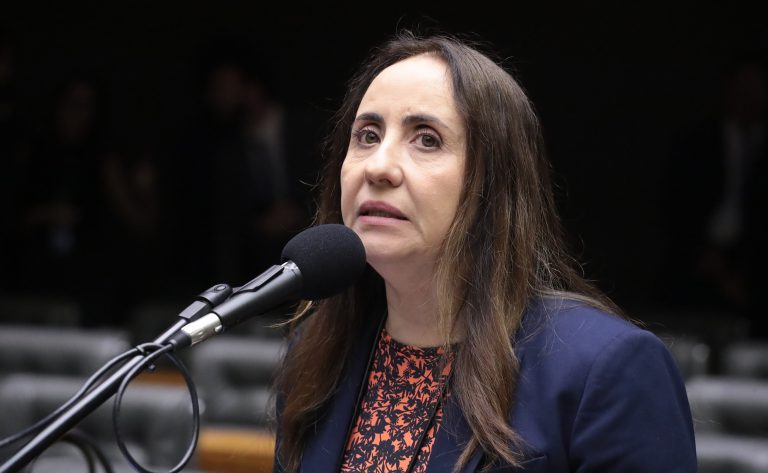 Discussão e votação de propostas legislativas. Dep. Adriana Ventura (NOVO - SP)