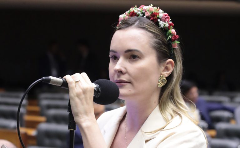 Discussão e votação de propostas legislativas. Dep. Julia Zanatta (PL-SC)