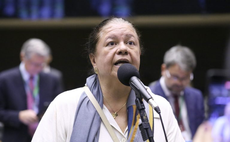 Discussão e votação de propostas legislativas. Dep. Laura Carneiro (PSD - RJ)