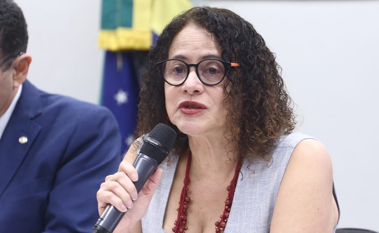 Audiência Pública - Inteligência Artificial no campo e COP30: tecnologias brasileiras para a sustentabilidade e segurança alimentar. Ministra da Ciência, Tecnologia e Inovações, Luciana Santos.