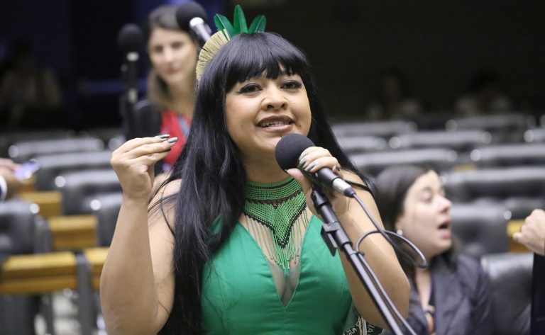 Discussão e votação de propostas legislativas. Dep. Célia Xakriabá (PSOL - MG)