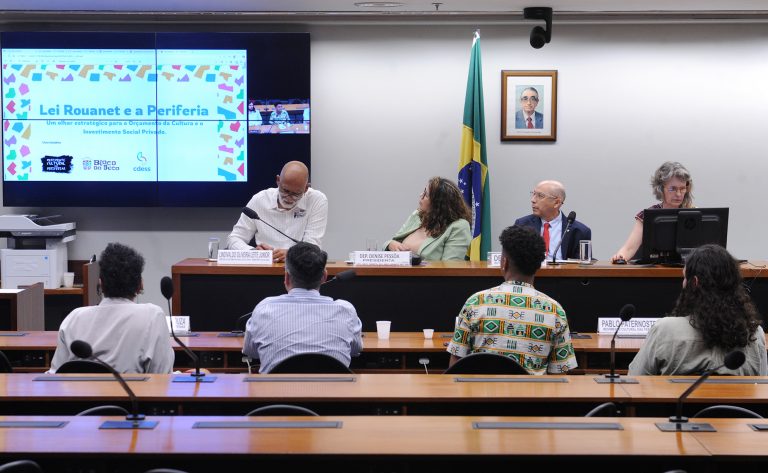 Audiência Pública - Políticas públicas destinadas ao fomento das culturas periféricas.