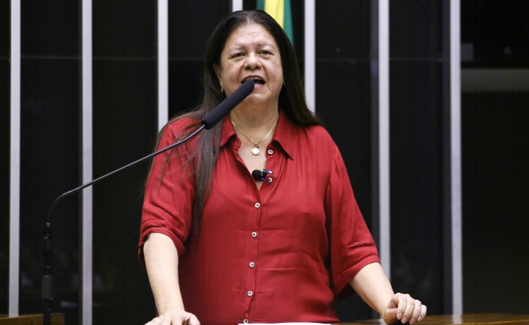 Deputada Laura Carneiro fala ao microfone