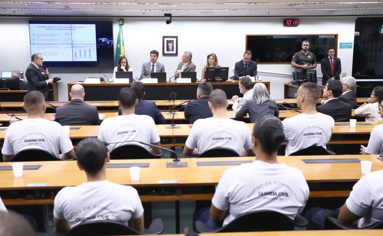 Audiência Pública - Dados e políticas de segurança pública