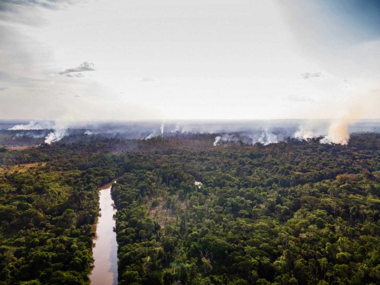 Meio Ambiente - Queimadas e desmatamento - No Pará, a Terra Indígena Alto Rio Guamá sofreu com incêndios florestais e viu o desmatamento crescer em meio à pandemia